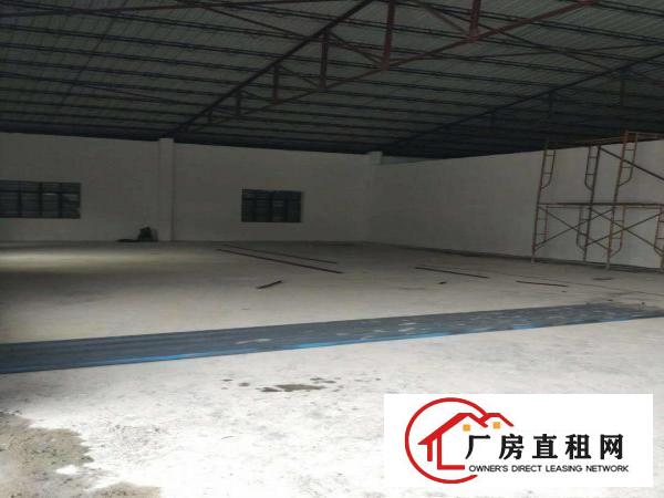  中堂标准一楼，单一层厂房，仓库招租