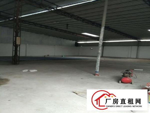  中堂标准一楼，单一层厂房，仓库招租