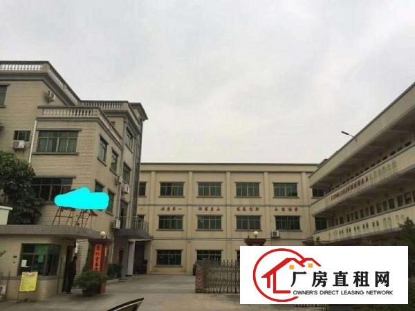  中堂标准一楼，单一层厂房，仓库招租