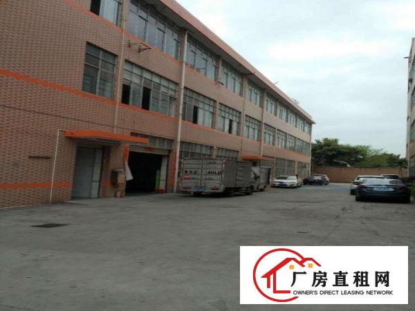  中堂望牛墩高埗万江大量低价原房东独院厂房仓库出租