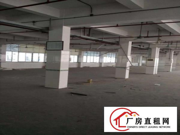 中堂望牛墩高埗万江大量低价原房东独院厂房仓库出租