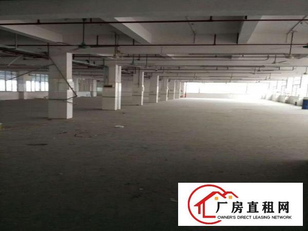  中堂望牛墩高埗万江大量低价原房东独院厂房仓库出租