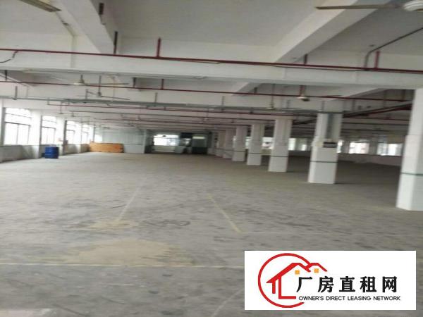  中堂望牛墩高埗万江大量低价原房东独院厂房仓库出租