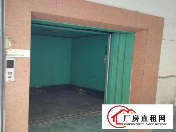  中堂望牛墩高埗万江大量低价原房东独院厂房仓库出租