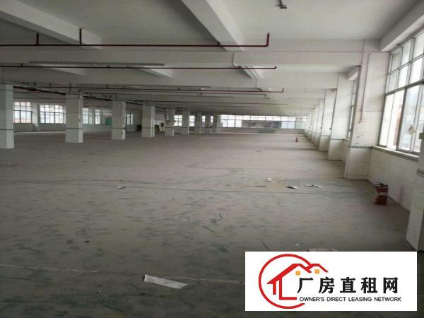  中堂望牛墩高埗万江大量低价原房东独院厂房仓库出租