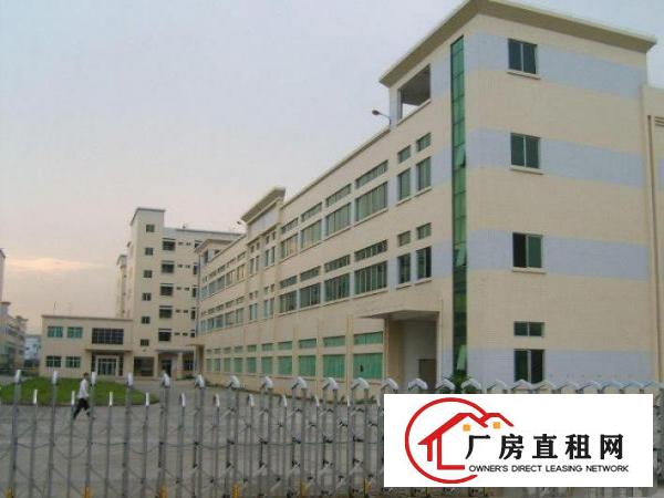  中堂标准一楼厂房1800平方米,层高6米,可装行车,成熟工业