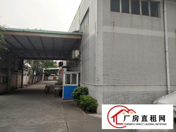  中堂新出独门独院原房东砖墙到顶单一层招租