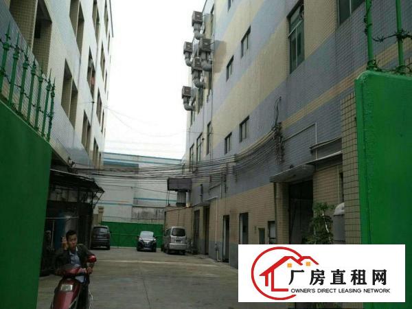  中堂汽车站旁全新独院铁皮一楼厂房出租