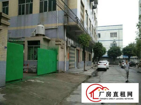 中堂汽车站旁全新独院铁皮一楼厂房出租