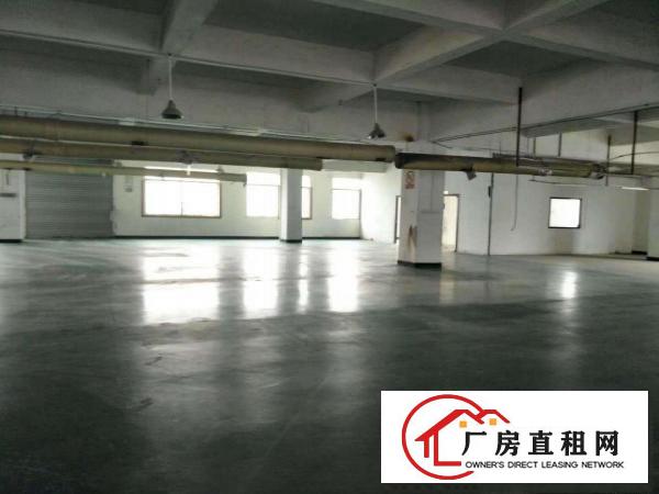  中堂汽车站旁全新独院铁皮一楼厂房出租