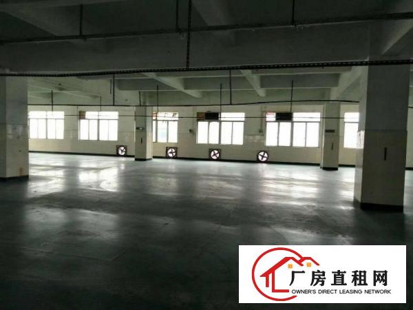  中堂汽车站旁全新独院铁皮一楼厂房出租