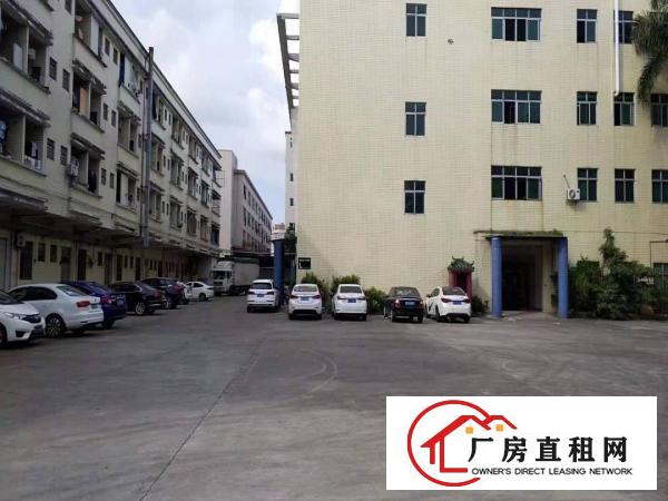  高埗中堂大量业主一楼仓库厂房招租,水电齐全现成装修