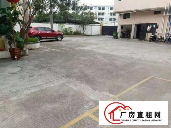  高埗中堂大量业主一楼仓库厂房招租,水电齐全现成装修