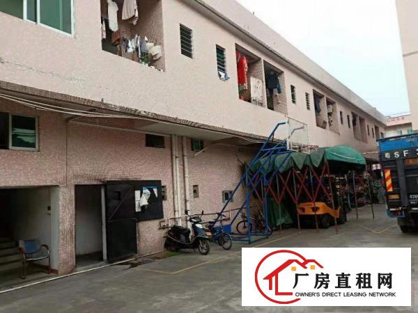  高埗中堂大量业主一楼仓库厂房招租,水电齐全现成装修
