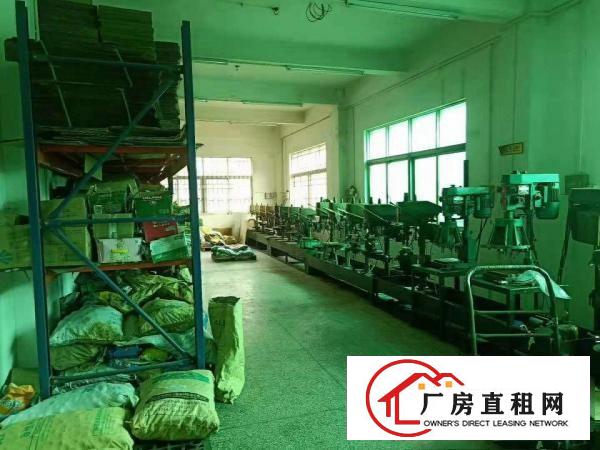  高埗中堂大量业主一楼仓库厂房招租,水电齐全现成装修