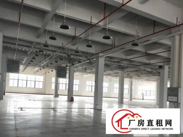 中堂潢涌新出独院标准楼房3500平方出租