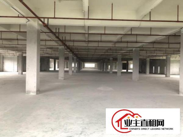  中堂标准一楼厂房1500平米低价招租