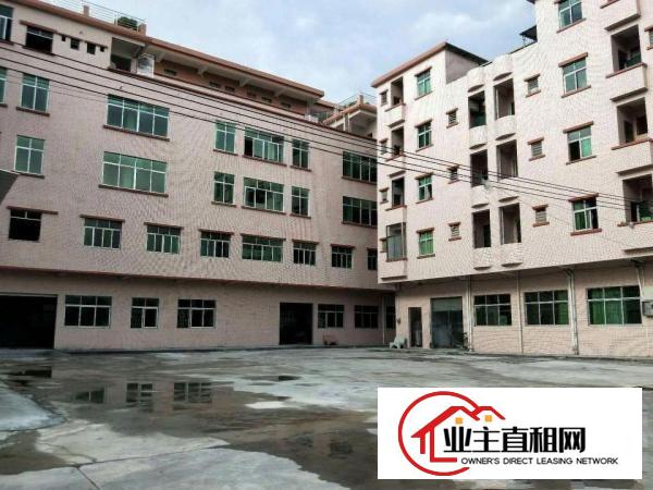  中堂标准一楼厂房1500平米低价招租