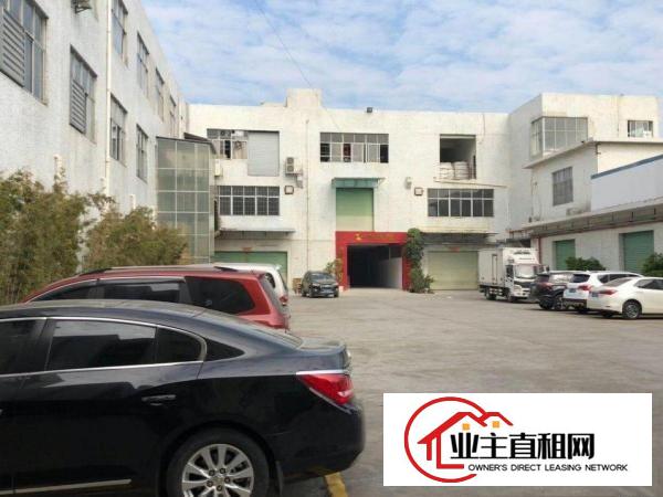  中堂标准一楼厂房1500平米低价招租