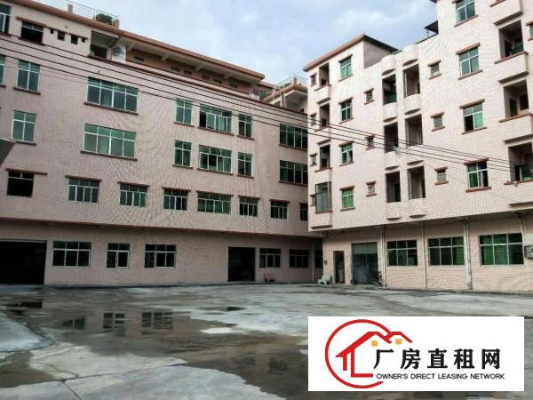  中堂带现成装修标准一楼1600平方招租办公楼2层300平方