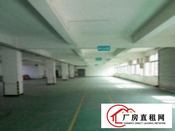  中堂工业区标准一楼1300平方招租水电齐全