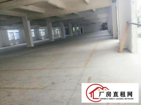  ​中堂新出独院标准楼房3层4800平方出租可分租500方起租