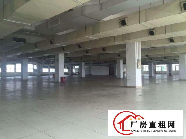  中堂标准一楼800平方出租,可做轻污染行业有现成线路和装修