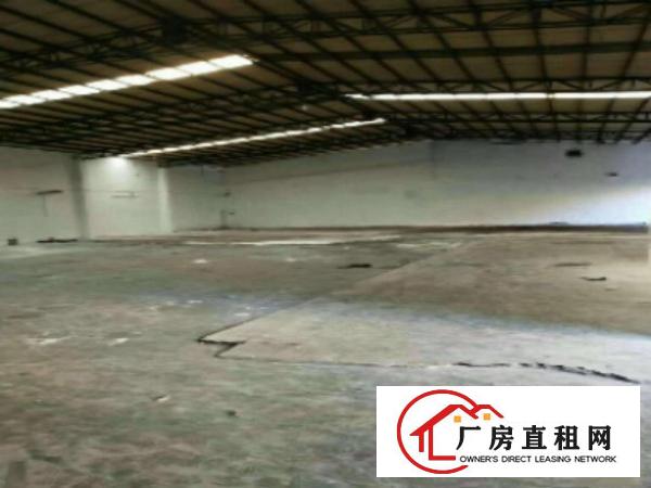  中堂单一层钢结构独院2400平米厂房出租