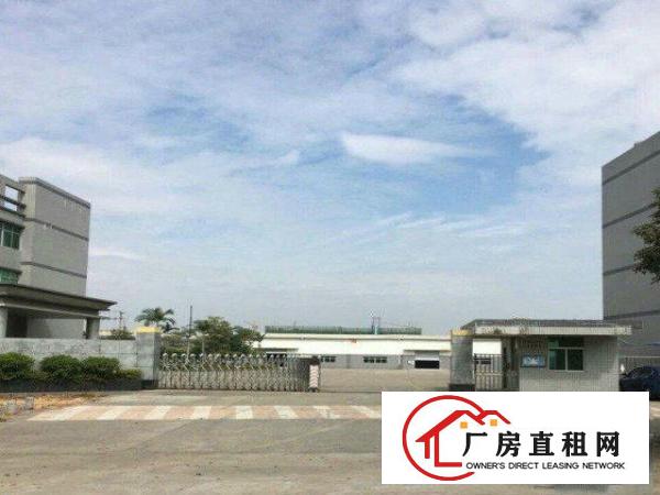  中堂工业用地独院钢构厂房分租1800平方出租