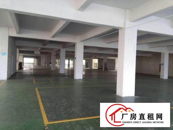  中堂1000平超大超靓交通方便，好招工适合各类型小加工
