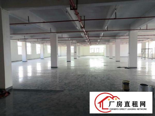  中堂标准工业区内一楼1500平方厂房出租车间水电齐消防合格