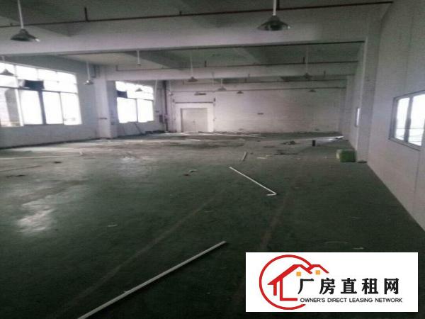  中堂三涌现有1500平方超靓标准独院厂房火爆招租啦