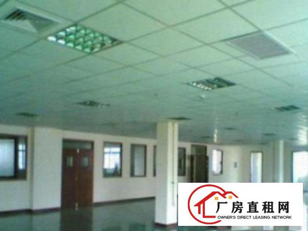  中堂标准一楼厂房1500㎡出租(配套齐全