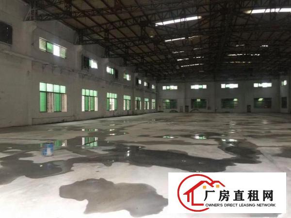  中堂工业区独院单一层钢构滴水9米2900平方厂房出租,可办环