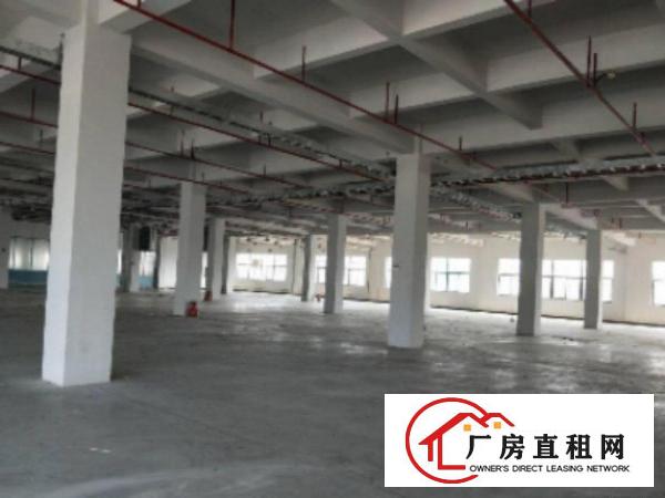  中堂标准厂房分租一楼2300平方米出租电力可以按需