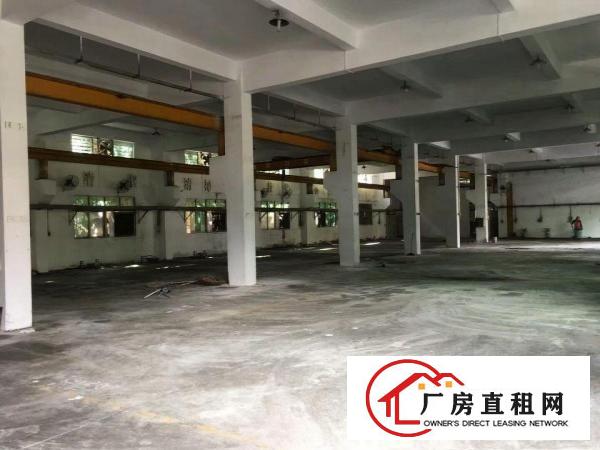  中堂新出独门独院3000平方1层厂房出租