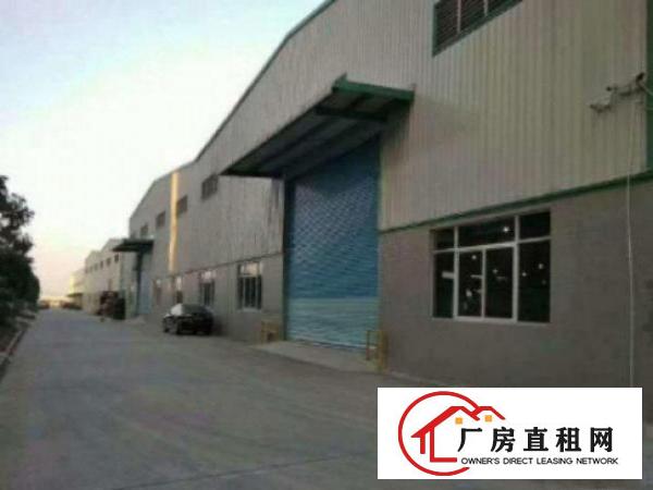  中堂新出钢结构单一层2500平方厂房出租带牛角出租招租