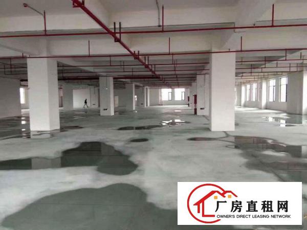  中堂现有标准一楼2000平米出租,适合多种行业模具等行业