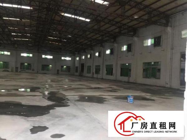  中堂独院单一层钢构厂房5000平方滴水8米出租空地超大