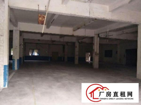  中堂带现成装修标准一楼600或1000平方招租