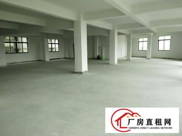  中堂独院标准厂房4900平米出租带办公室，现成，水电齐全