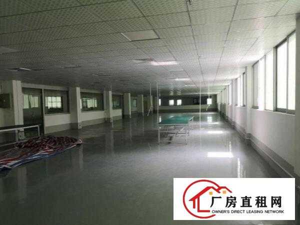  鹤田工业区楼上1300平米带豪华精装修厂房出租