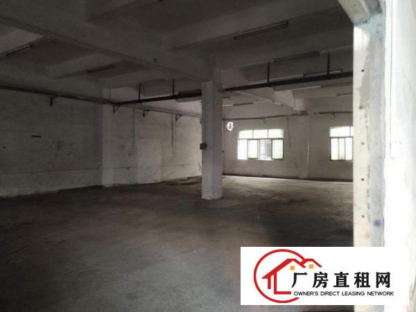  潢涌标准厂房一楼1470平方带装修出租电费便宜可开票