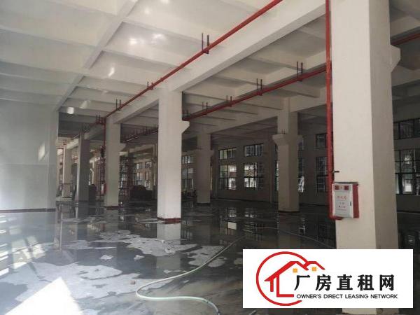  三涌工业区新出全新厂房原房东1500平方300起分