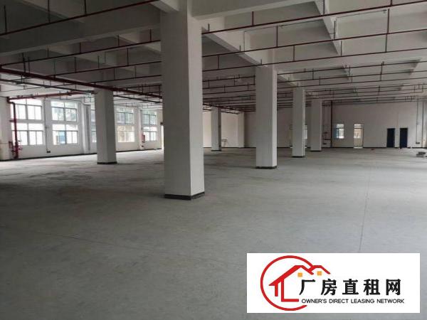  三涌工业区新出全新厂房原房东1500平方300起分