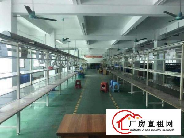  东泊工业区新出原房东楼上650平方带精装修招租