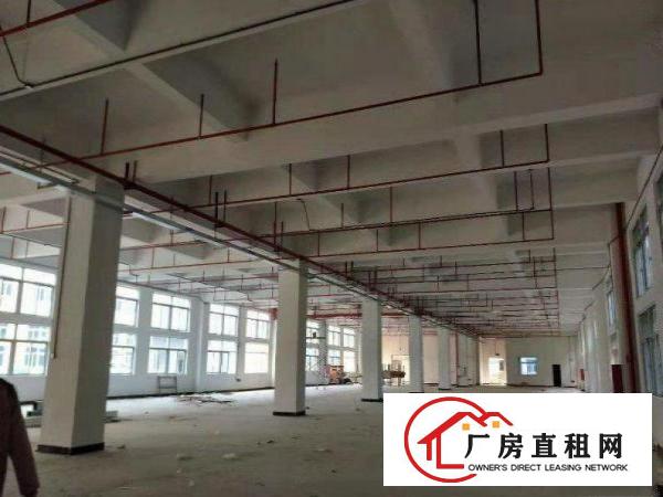  蕉利工业区原房东出标准厂房三层面积共3300平方，空地超大