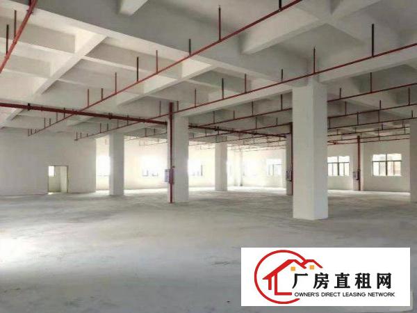  蕉利工业区原房东出标准厂房三层面积共3300平方，空地超大