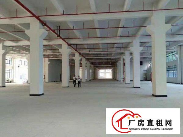 袁家涌独院厂房2800平米配宿舍食堂交通方便