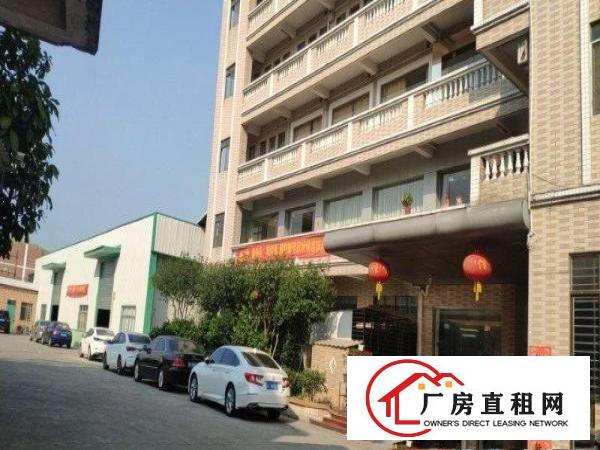  全新标准配套厂房出租